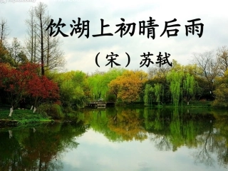 22饮湖上初晴后雨ppt