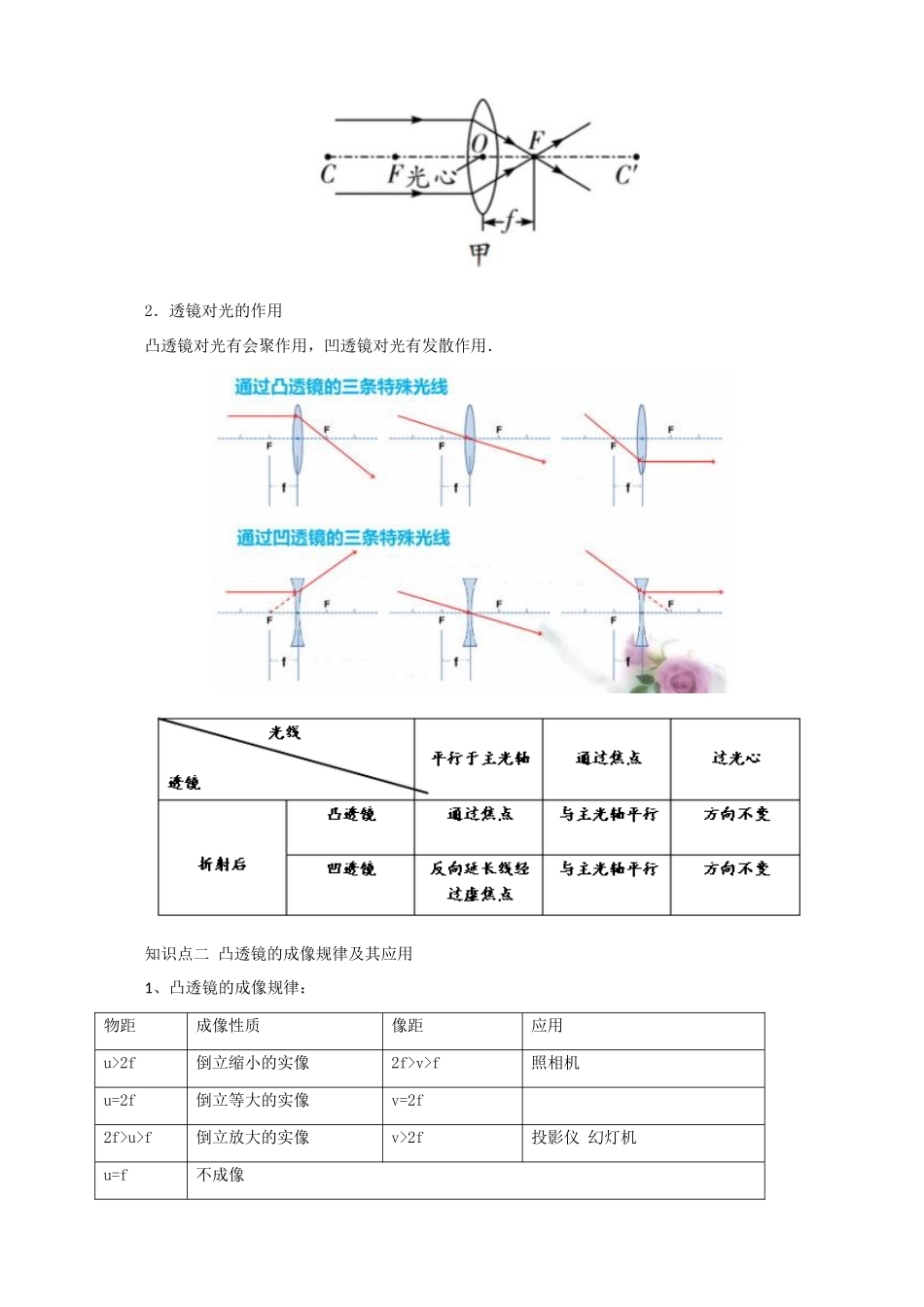 中考物理一轮复习 第6讲 透镜及其应用教案-人教版初中九年级全册物理教案_第2页