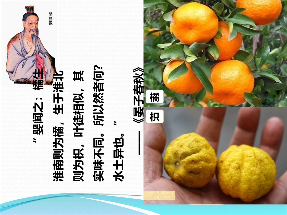 活动课认识南方地区和北方地区的区域差异_第2页