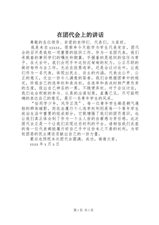 在团代会上的讲话发言