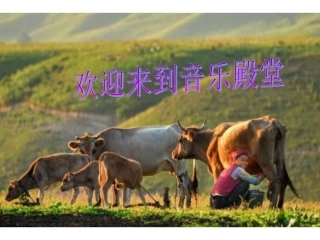 敲手鼓的小巴郎