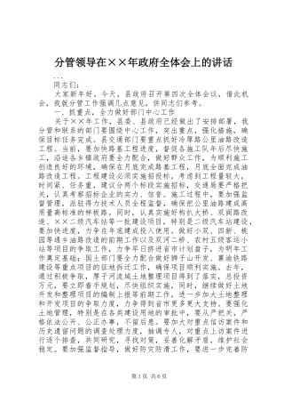 分管领导在××年政府全体会上的讲话发言