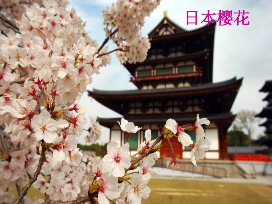 (演唱)红蜻蜓-(2)_第3页