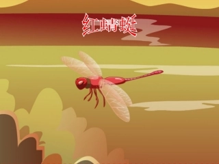 (演唱)红蜻蜓-(2)