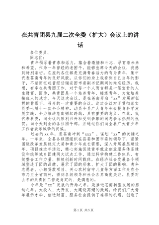 在共青团县九届二次全委（扩大）会议上的讲话发言