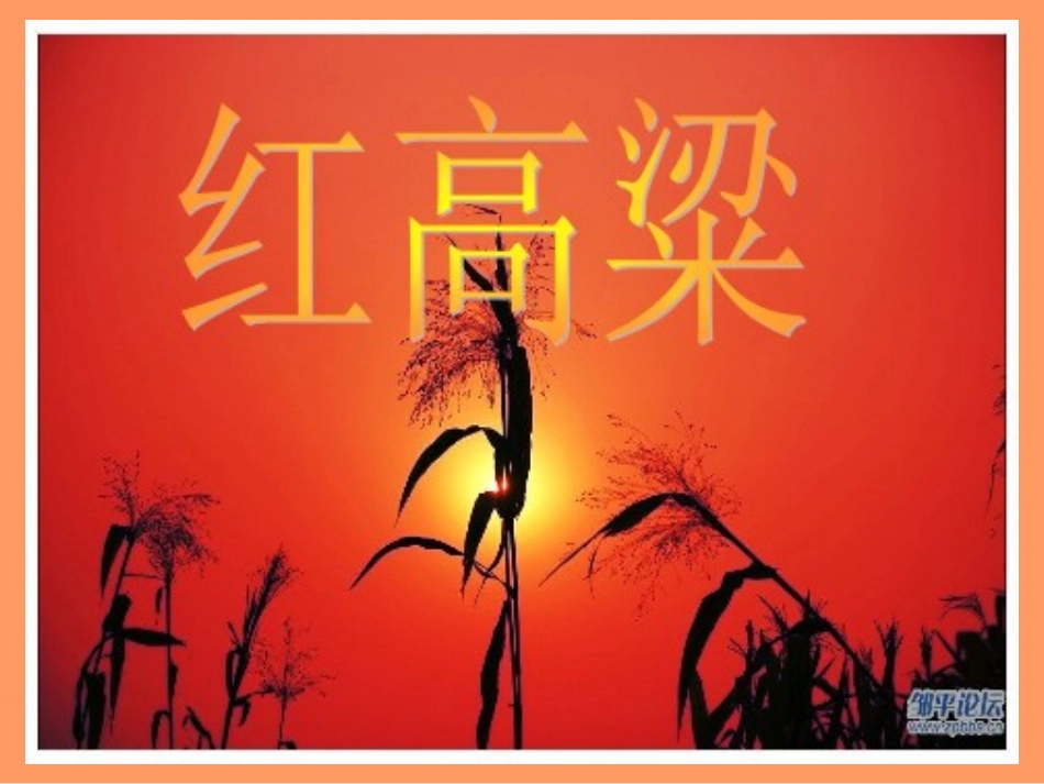 18.《红高粱》-(2)_第3页