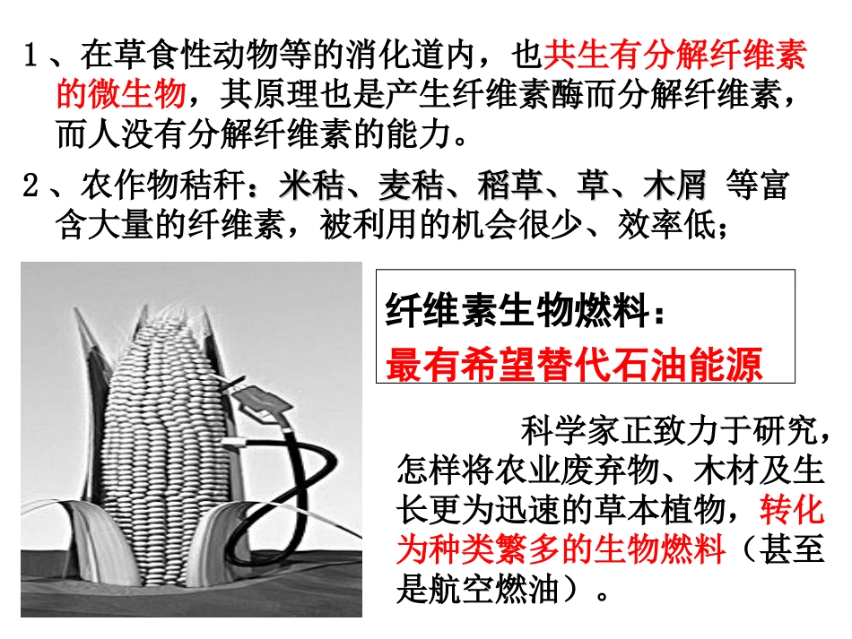 课题研究分离土壤中能分解纤维素的微生物_第2页