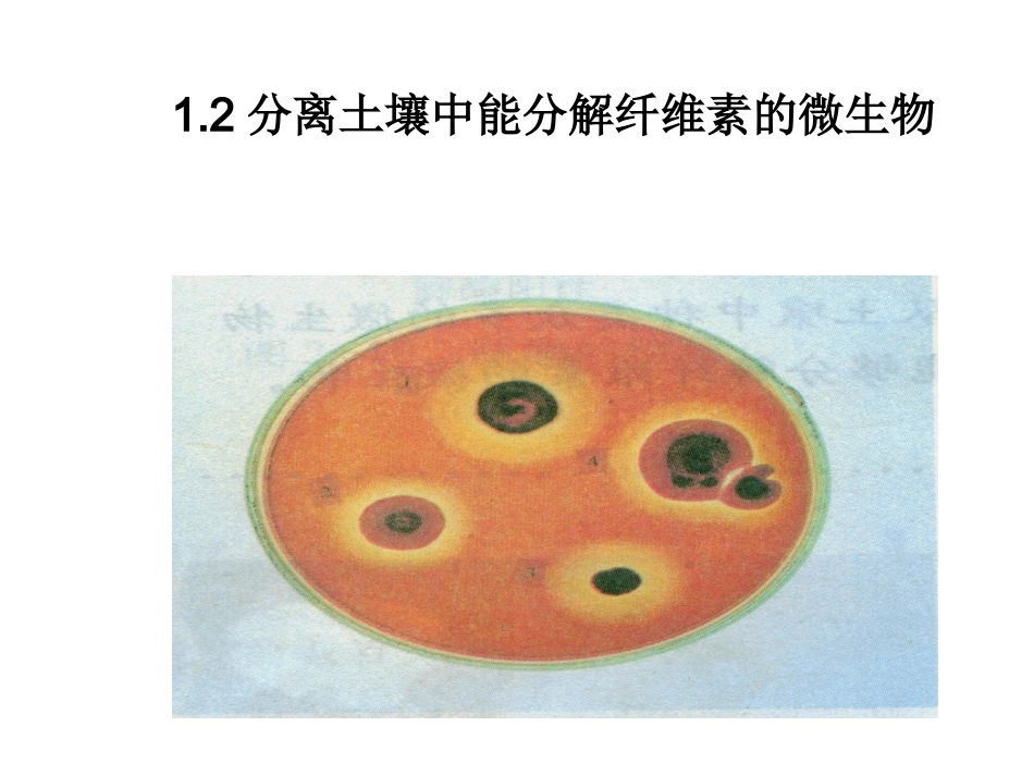 课题研究分离土壤中能分解纤维素的微生物_第3页