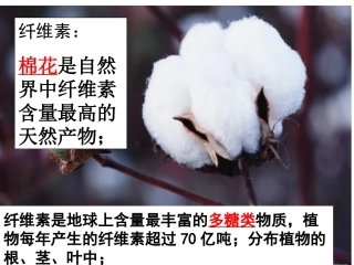 课题研究分离土壤中能分解纤维素的微生物