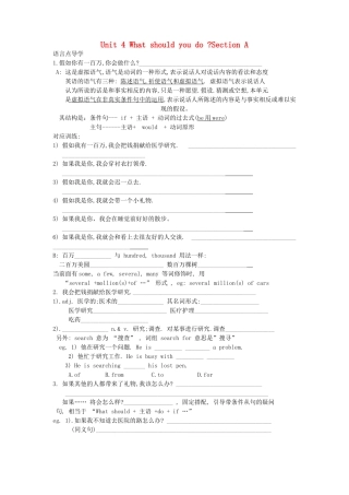 九年级英语 Unit4 what would you do_教案 人教新目标版