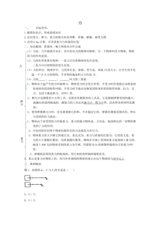 八年级物理下册 第七章 力复习学案（无答案）（新版）新人教版