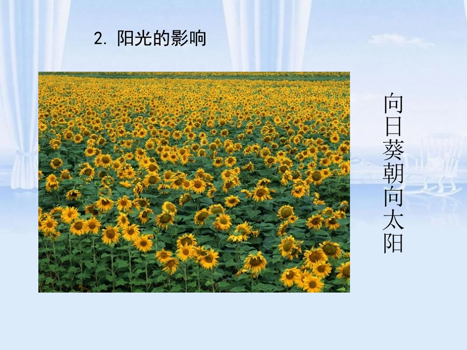 非生物因素对自然界的影响_第2页