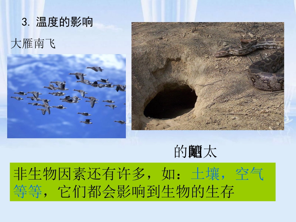 非生物因素对自然界的影响_第3页