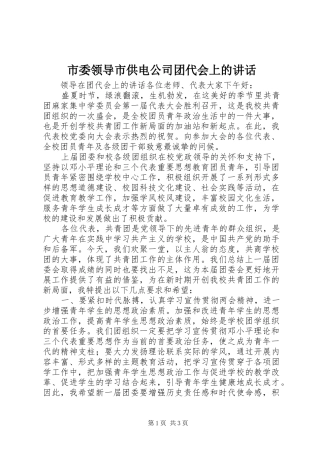 市委领导市供电公司团代会上的讲话发言