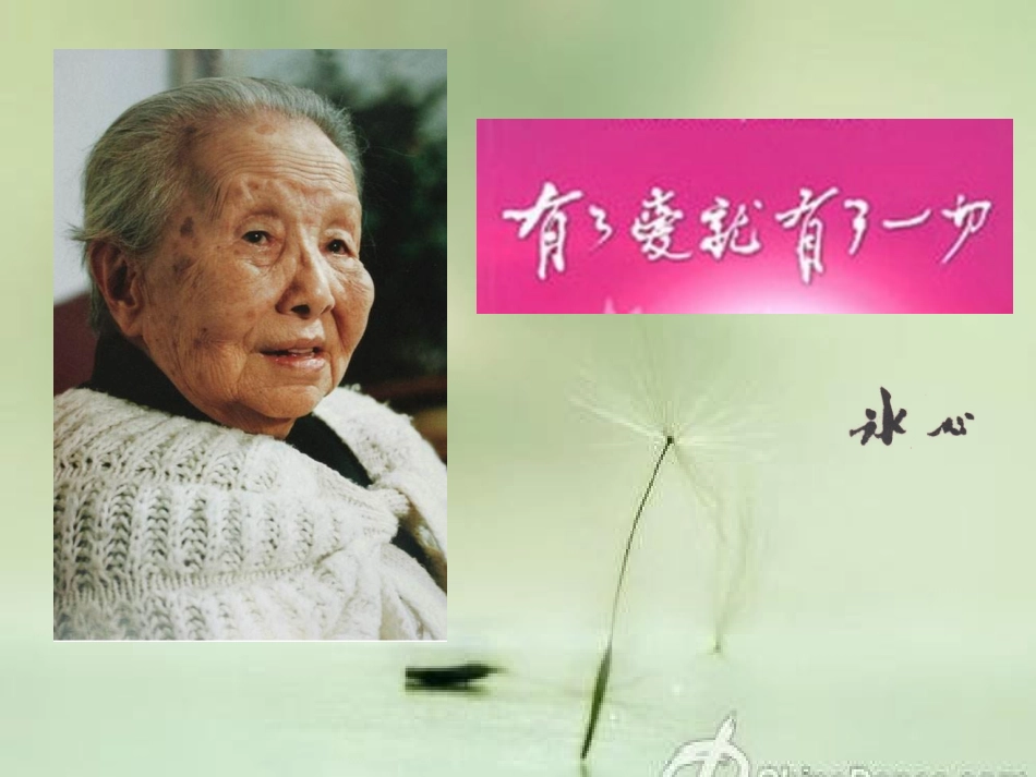 26.别踩了这朵花_第2页