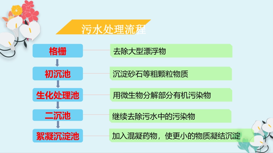 4保护我们的生命之河_第3页