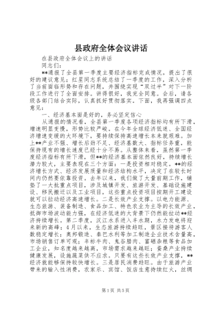县政府全体会议讲话发言