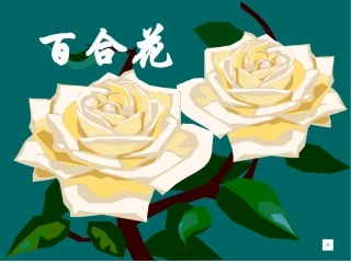 15.百合花