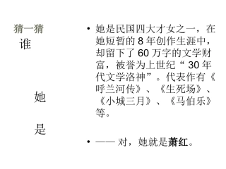 《呼兰河传》(节选)