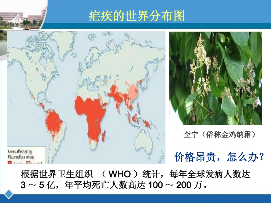 第三单元人工合成有机化合物-(2)_第2页