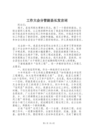 工作大会分管副县长发言词