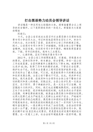 打击黑恶势力动员会领导讲话发言