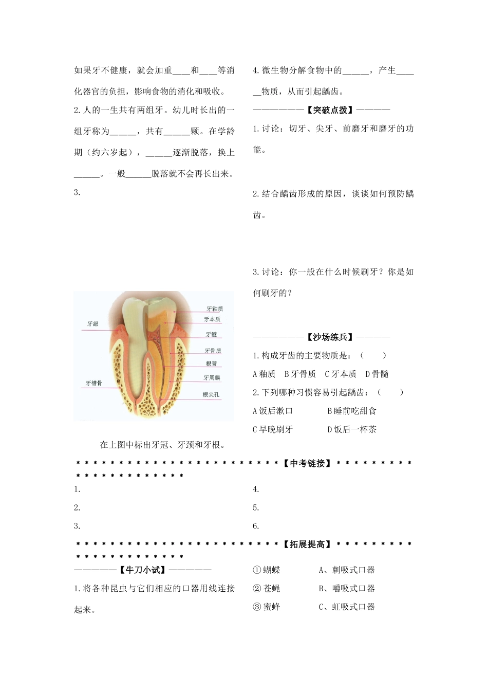 九年级科学上册 第4章第1节 动物的食物与摄食学讲稿（二） 浙教版_第2页