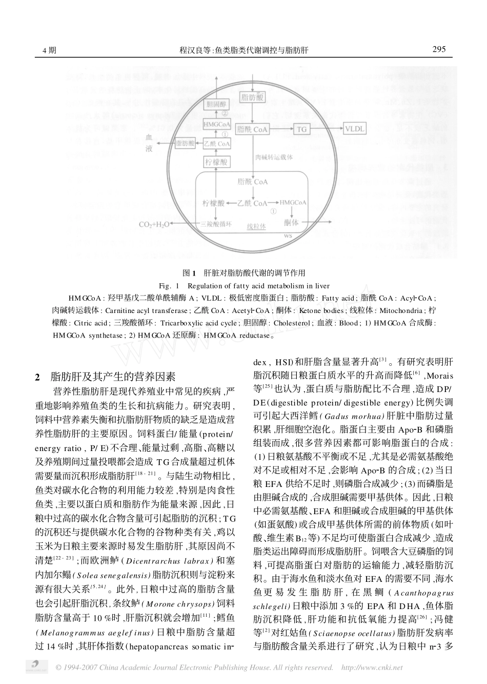 鱼类脂类代谢调控与脂肪肝_第2页