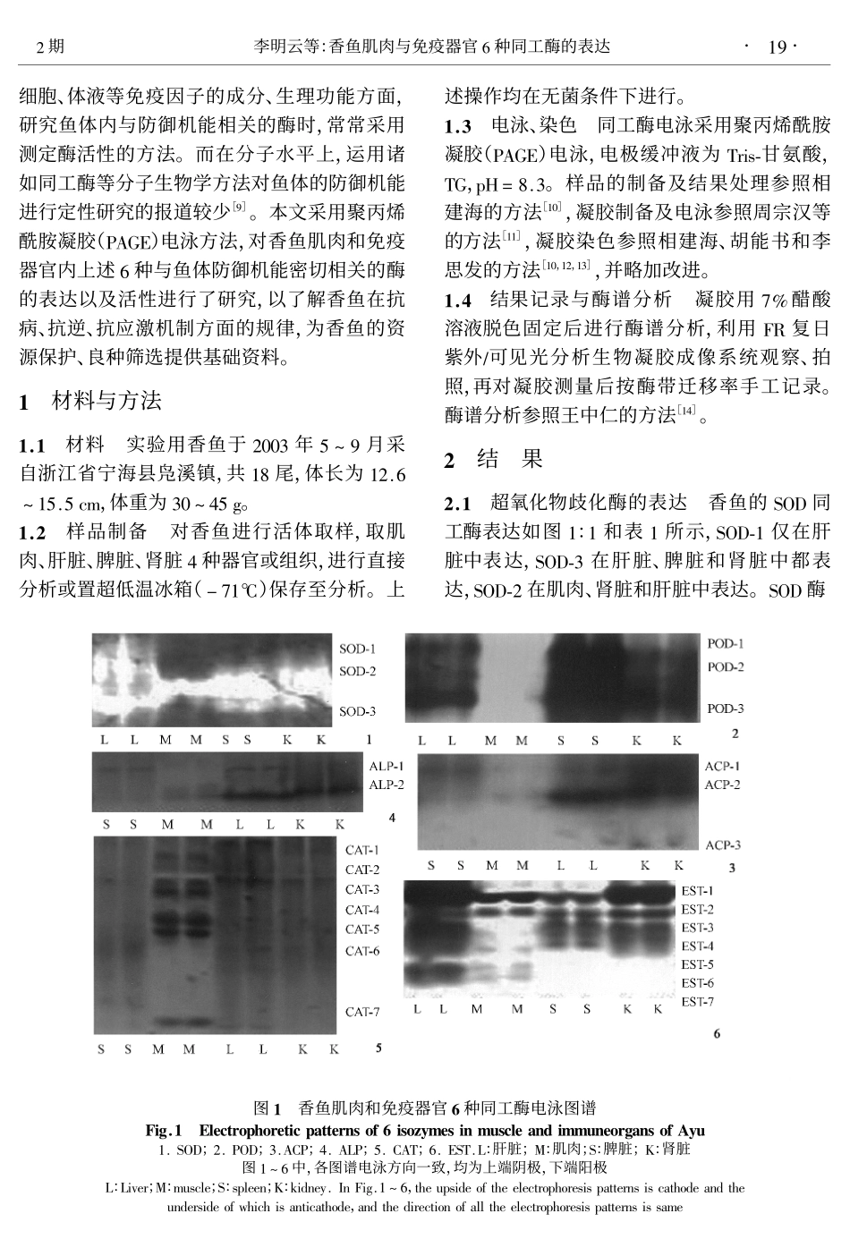 香鱼肌肉与免疫器官6种同工酶的表达_第2页