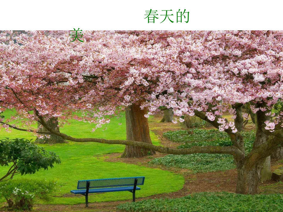 渴望春天-(2)_第2页
