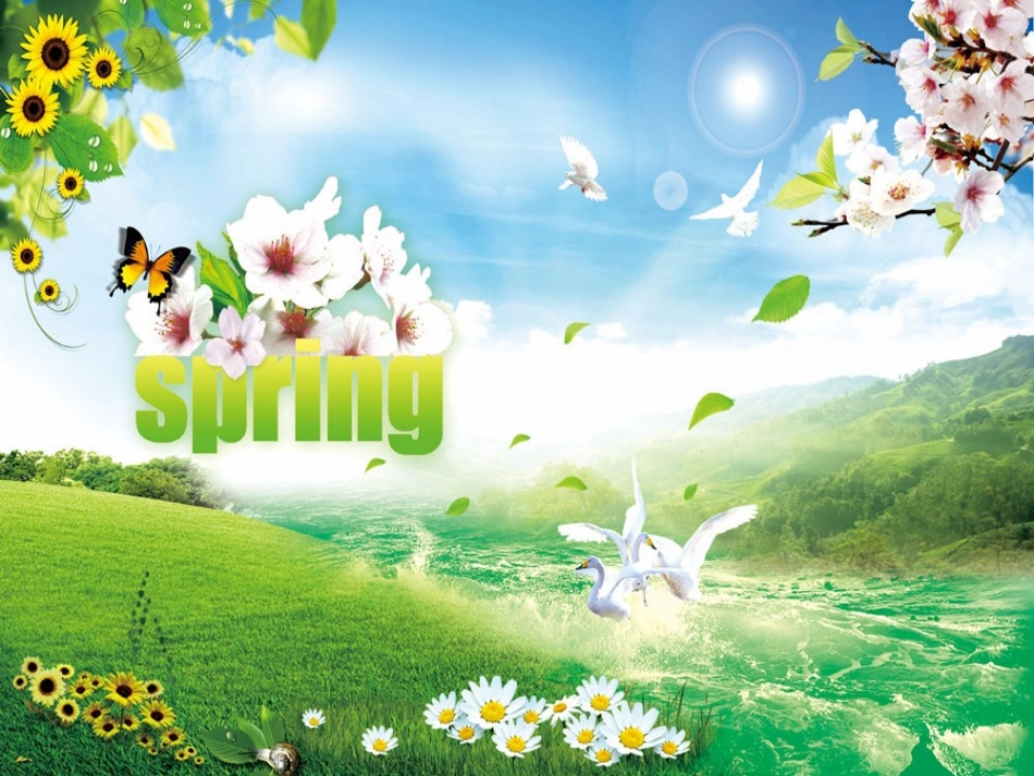 渴望春天-(2)_第3页