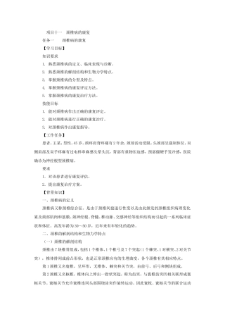项目十二  下背痛的康复