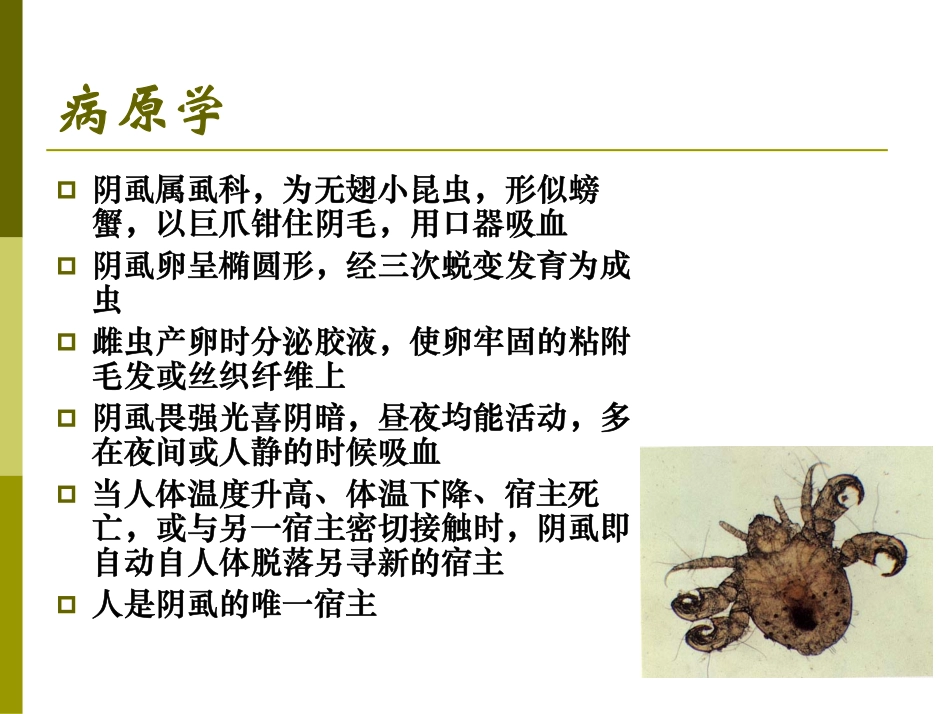 阴虱-疥疮-传染性软疣_第3页
