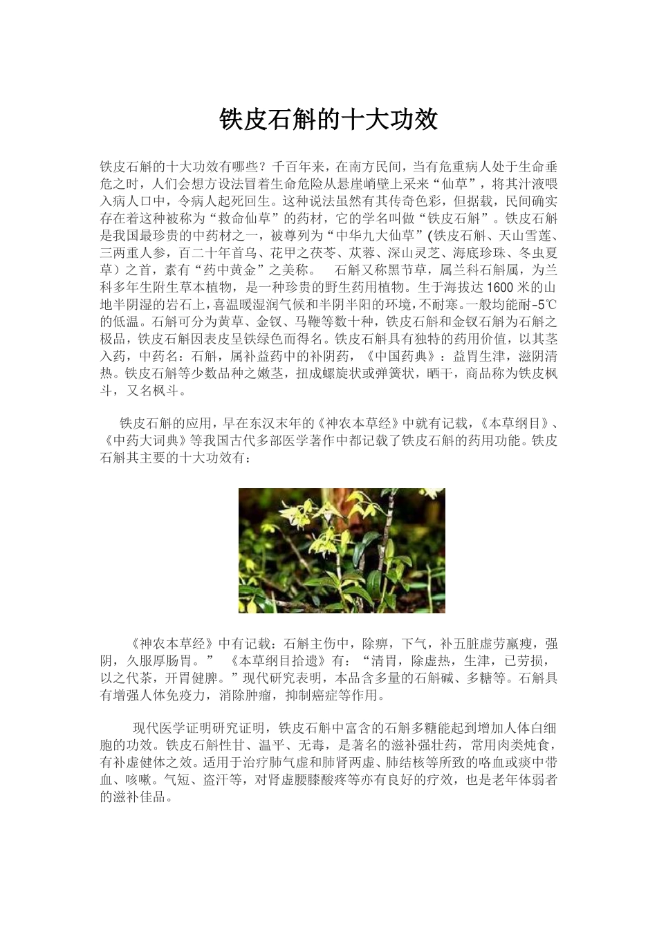 铁皮石斛的十大功效_第1页