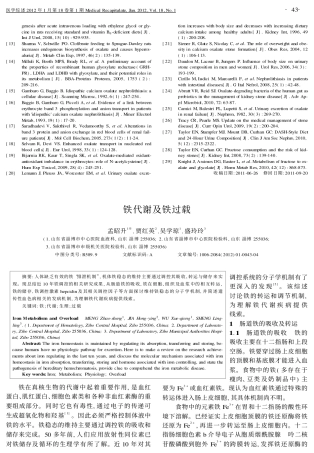 铁代谢及铁过载
