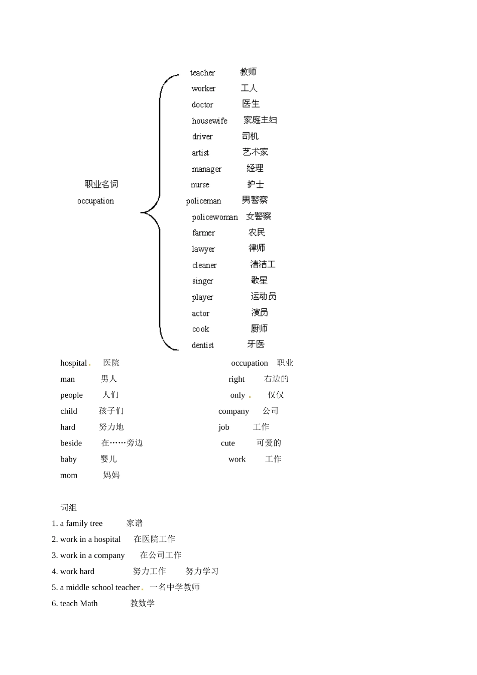 七年级英语：Unit 6 My family教案北京课改版_第3页