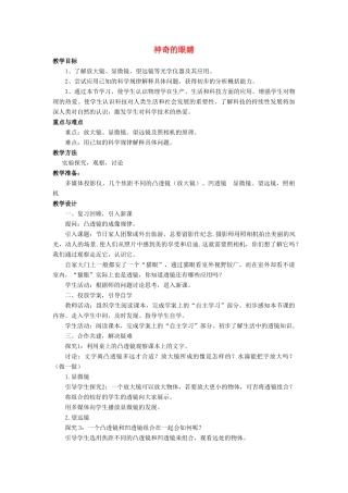 八年级物理全册 第四章 第六节《神奇的眼睛》教案4 （新版）沪科版-（新版）沪科版初中八年级全册物理教案