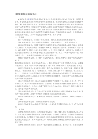重要血管神经的体表定位