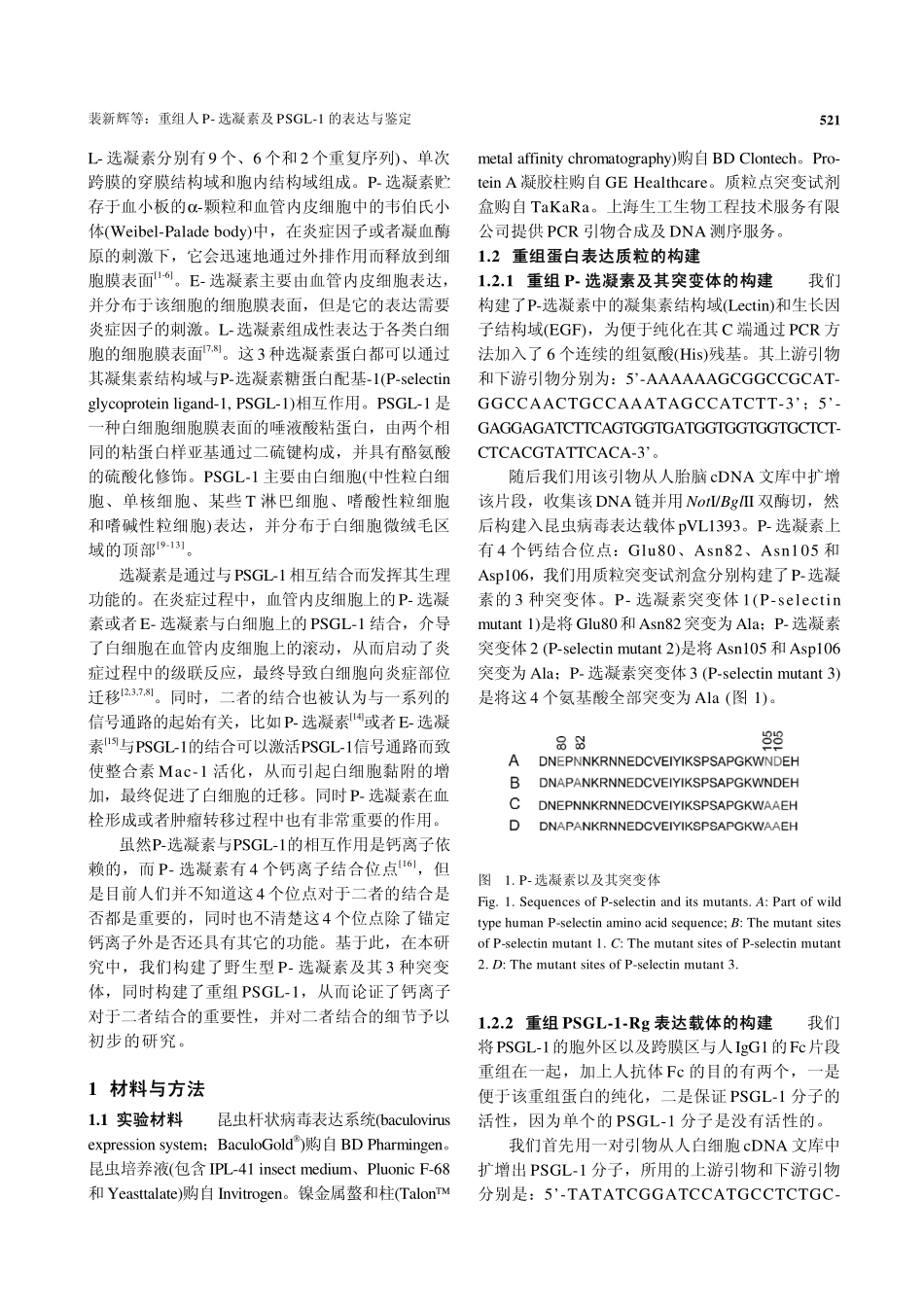 重组人P-选凝素及PSGL-1的表达与鉴定_第2页