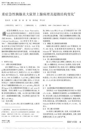 重症急性胰腺炎大鼠肾上腺病理及超微结构变化