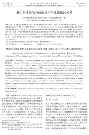重症急性胰腺炎胰腺损伤与肺损伤的关系