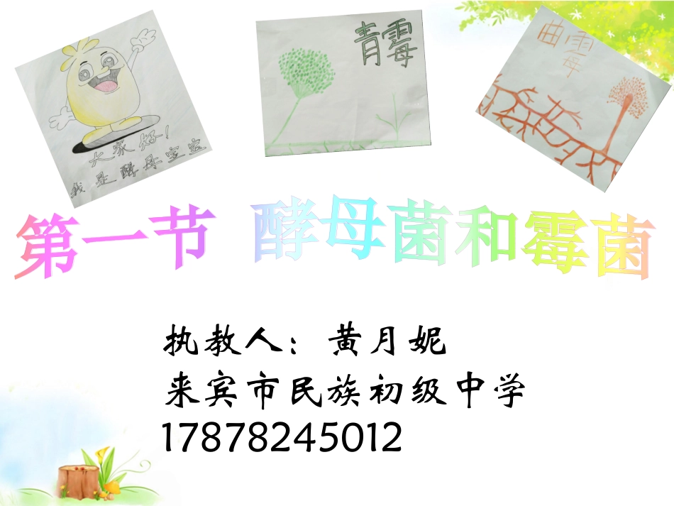 第一节酵母菌和霉菌_第2页