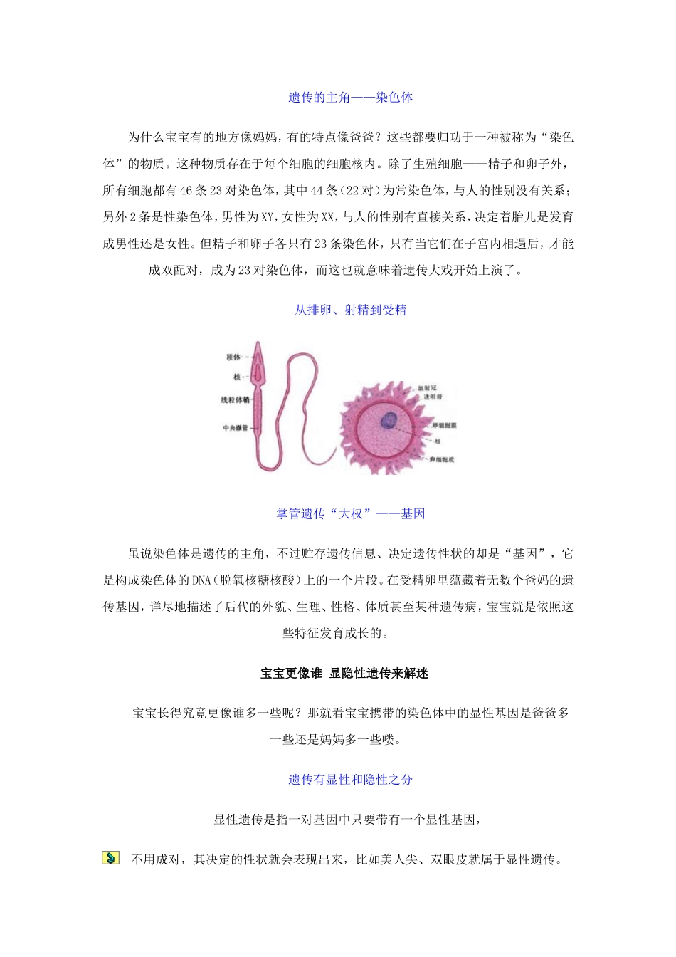 遗传 宝宝长的更像谁(图)_第2页