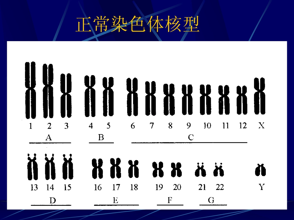 遗传代谢性疾病_第2页