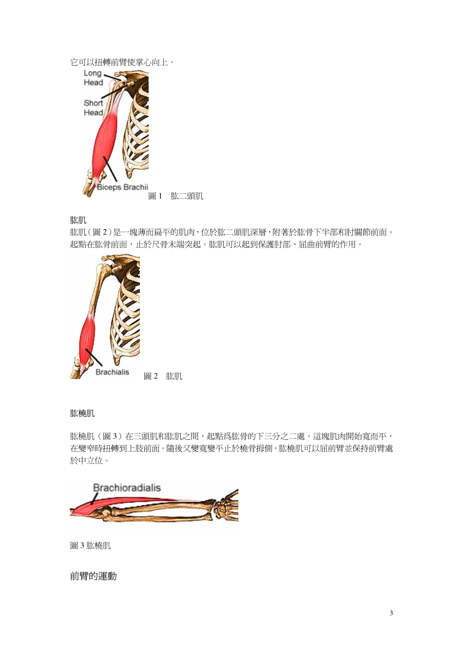 通过解剖学和生物学分析哑弯举动作_第3页