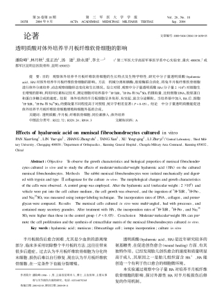 透明质酸对体外培养半月板纤维软骨细胞的影响