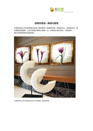 透明花密语--美丽与爱情