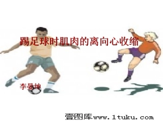 踢足球时肌肉的离向心收缩