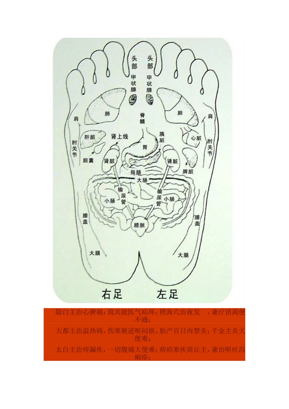 足部穴位治疗歌_第2页