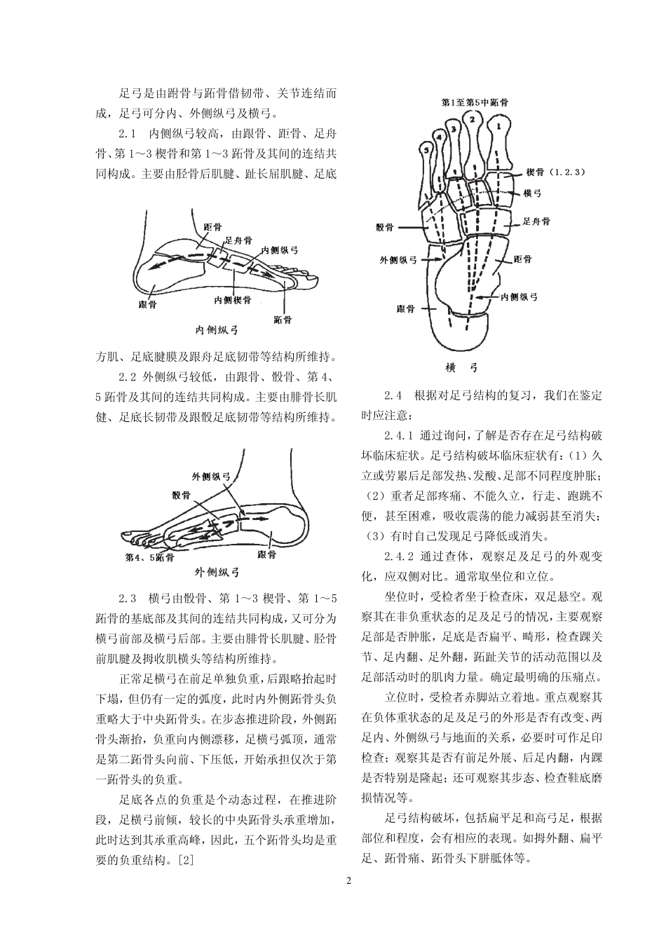 足弓结构破坏的法医临床鉴定方法_第2页